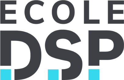 Logo Digital School of Paris