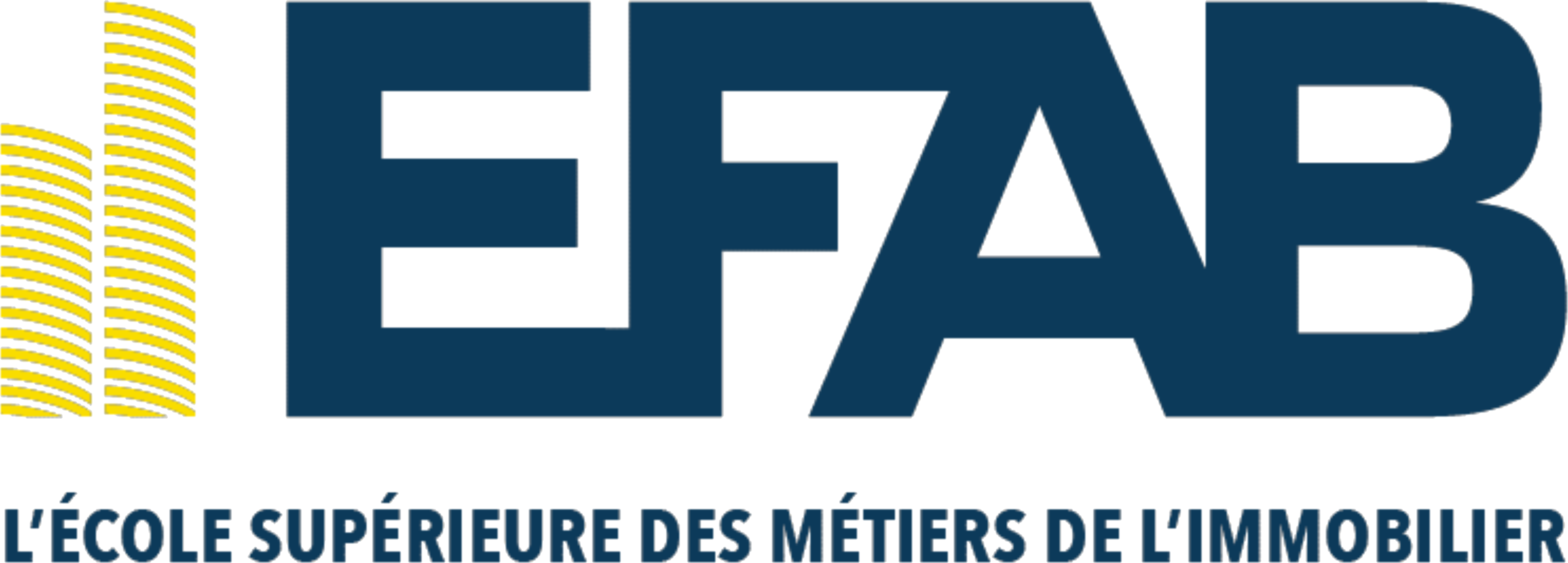 Logo EFAB